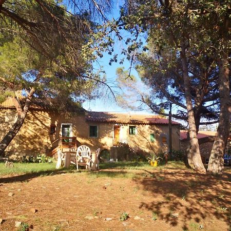 Maison Entiere Hameau Monastir Del Camp Passa Bagian luar foto
