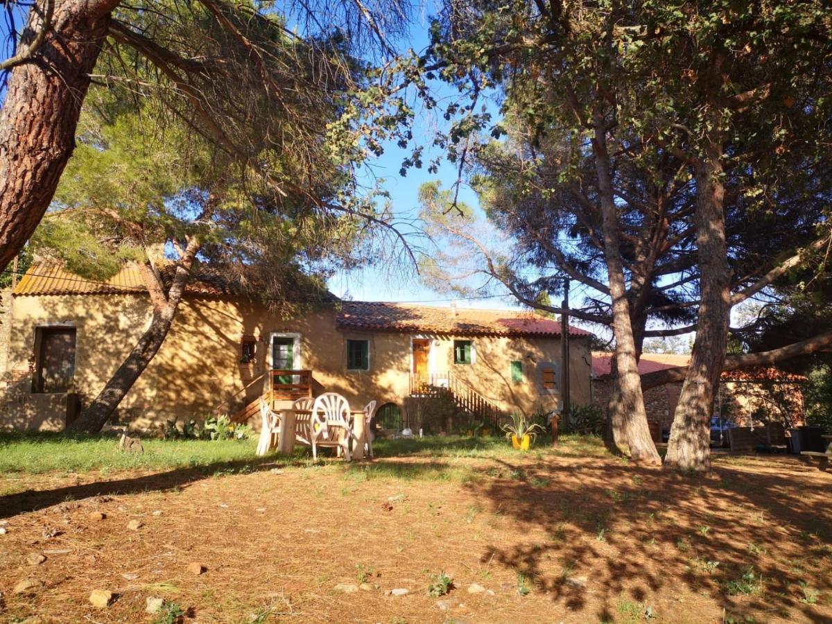 Maison Entiere Hameau Monastir Del Camp Passa Bagian luar foto